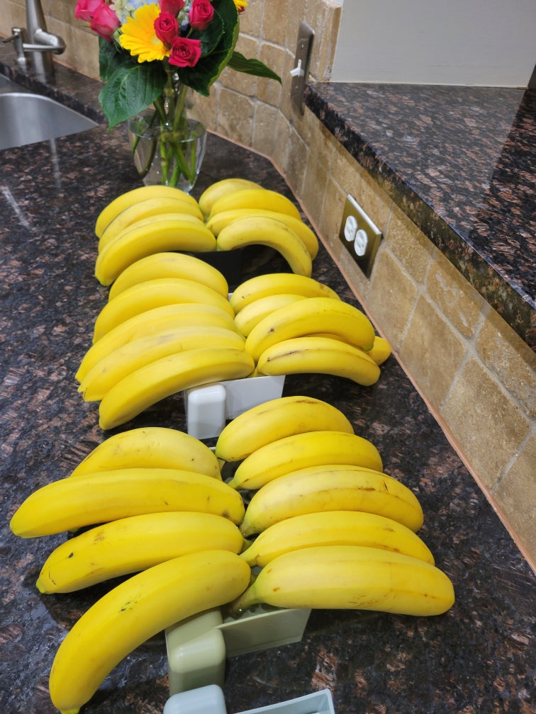 Rows of bananas resting in Banana Vases on a kitchen counter